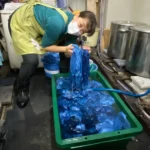 藍の観察とタネ取り[2025-01-09]