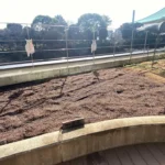 1Day Fun Live@CHIYODA まちの文化祭に参加 [2025-03-02]