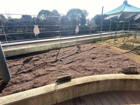 かがやきプラザ [2025-03-14]