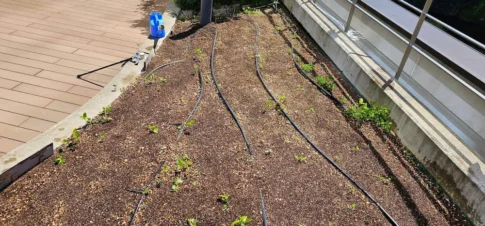 かがやきプラザ [2025-04-16]