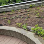 千代田街づくりサポート大賞 3年連続受賞 [2025-04-20]