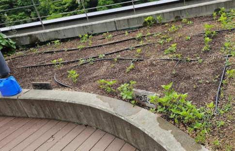 かがやきプラザ [2025-04-26]