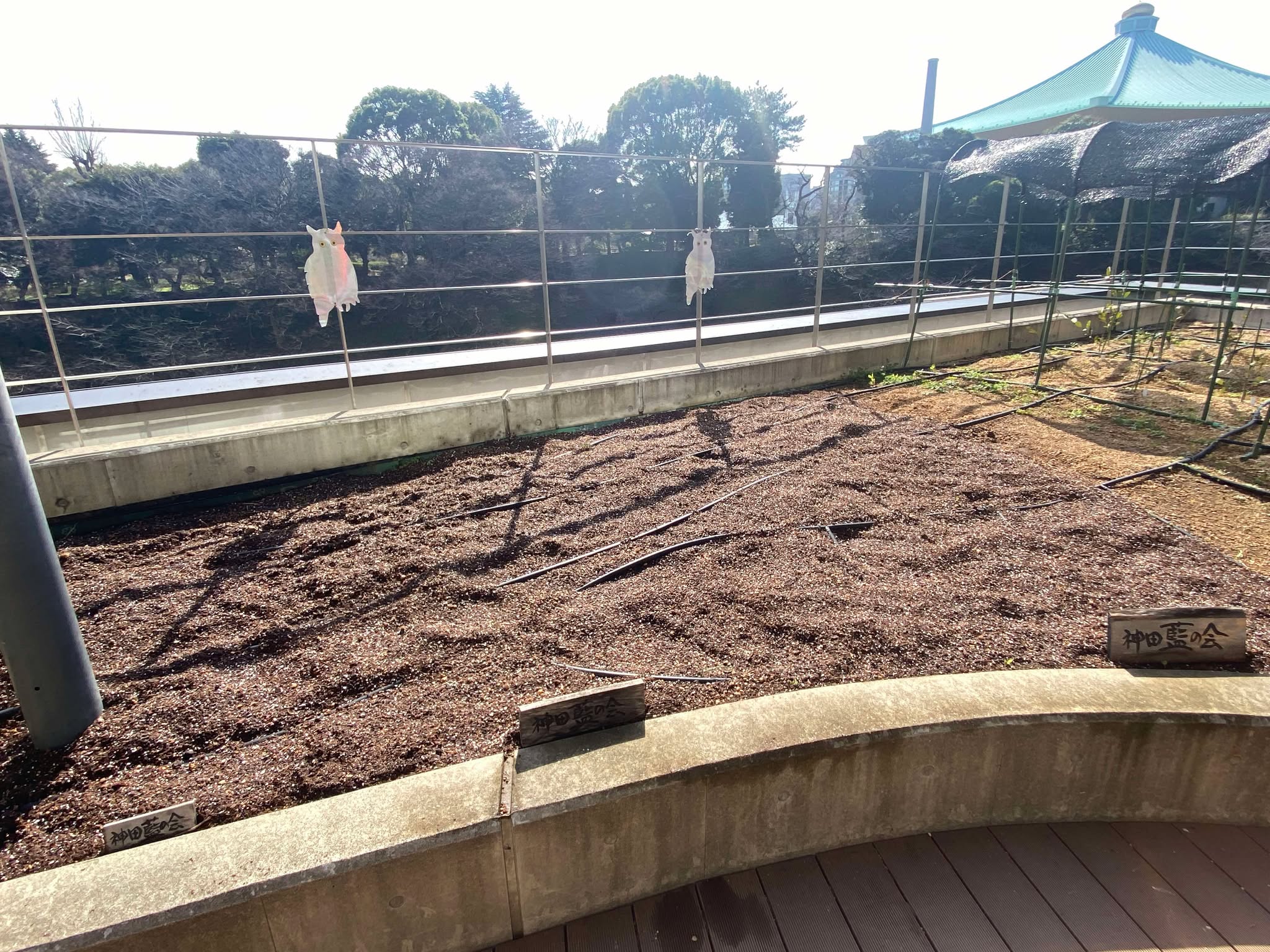 [2025-03-14] かがやきプラザ