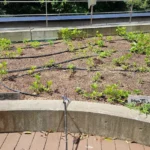 かがやきプラザ [2025-04-26]