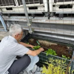 令和7年 藍の会 感謝祭