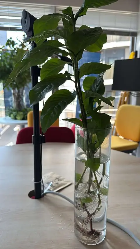 須田二ダンクソフト [2025-06-07]