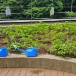 須田二ダンクソフト [2025-06-07]