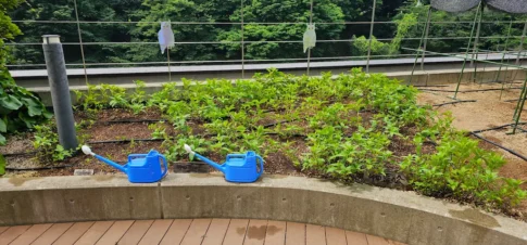 かがやきプラザ [2025-06-09]