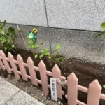 神田鍛冶町watage [2025-06-24]