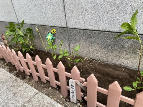 興産信用金庫神保町支店  [2025-06-24]