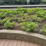 東松下町都市まち研 [2025-06-04]