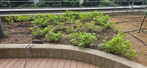 かがやきプラザ [2025-06-04]