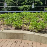 かがやきプラザ [2025-06-09]