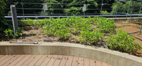 かがやきプラザ [2025-06-16]