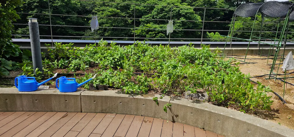 かがやきプラザ [2025-06-23]