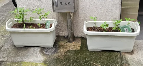 九段生涯学習館 [2025-07-02]