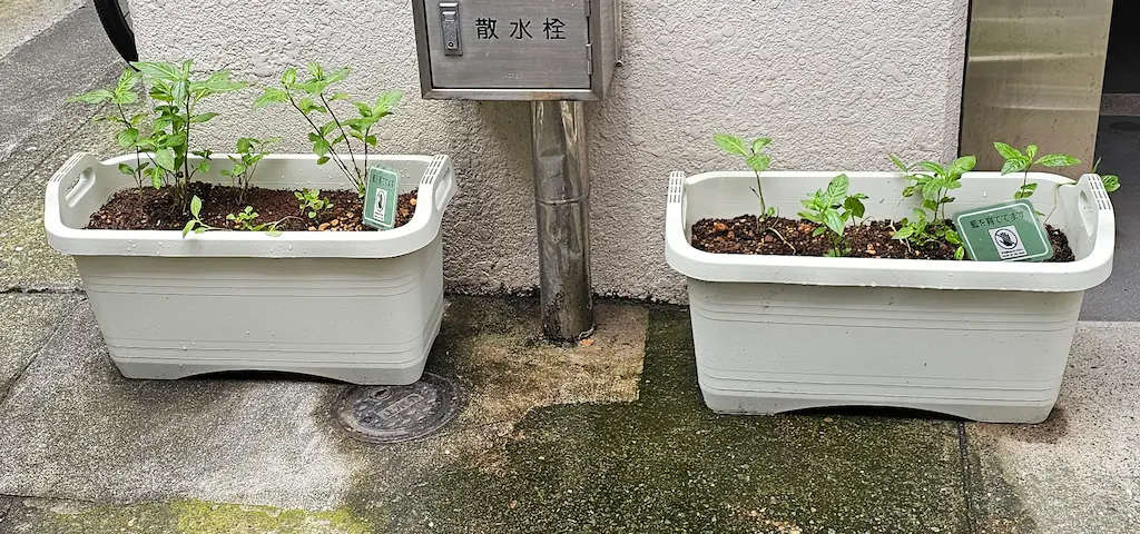 九段生涯学習館 [2025-07-02]