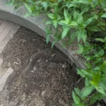 神田錦町広瀬ビル [2025-07-07]