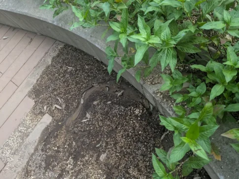 かがやきプラザ [2025-07-10]