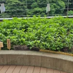 興産信用金庫本店 [2025-07-11]