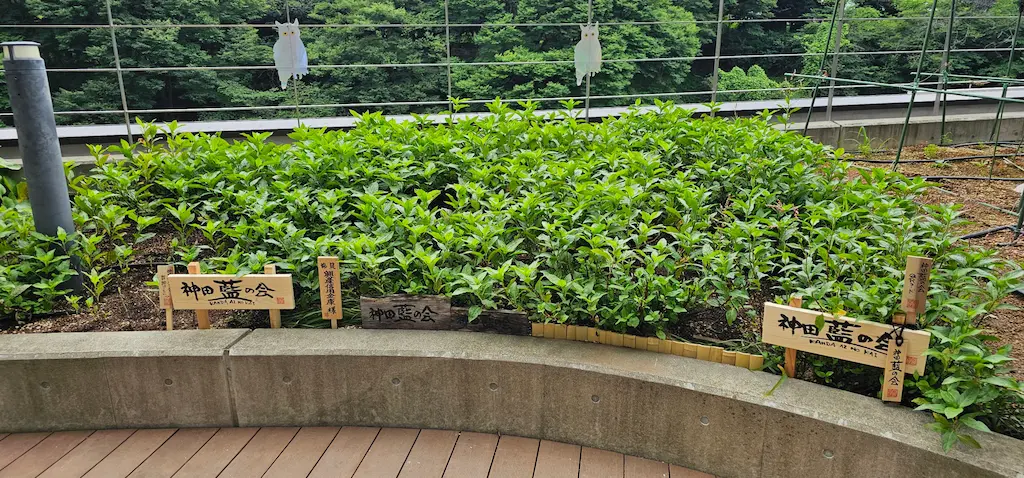 かがやきプラザ [2025-07-11]