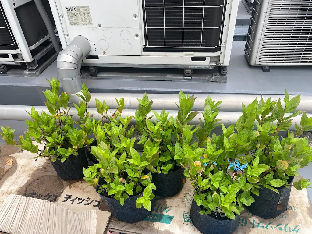 興産信用金庫本店 [2025-07-11]