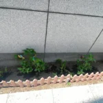 興産信用金庫本店 [2025-07-11]