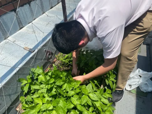 正則学園化学部さん [2025-07-03]