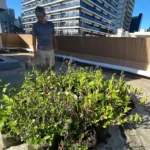 大和ハウスさん 生葉染め体験 [2025-07-28]