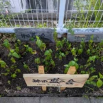 かがやきプラザ [2025-07-27]