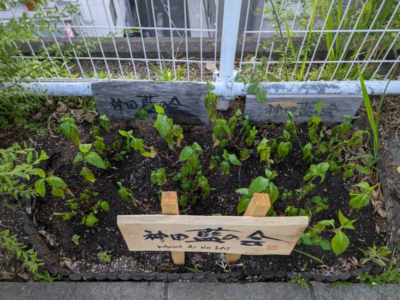 神田明神  [2025-07-24]