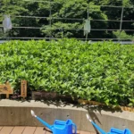 神田橋安田ビル [2025-07-22]