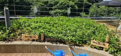 かがやきプラザ [2025-07-23]