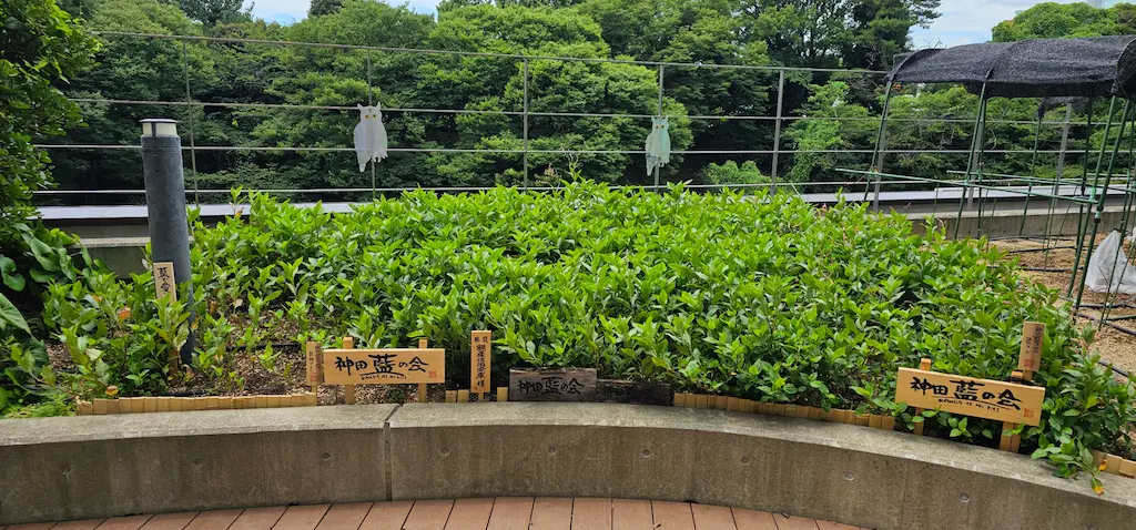 かがやきプラザ [2025-07-27]