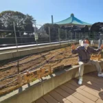 神田藍の会オープンデイのお知らせ