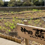 5月の定例会・神田藍の会ラジオ日程
