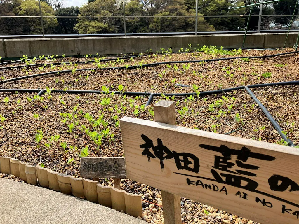 神田藍の会オープンデイのお知らせ