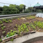 日比谷公園へ里子待ち [2026-04-17]