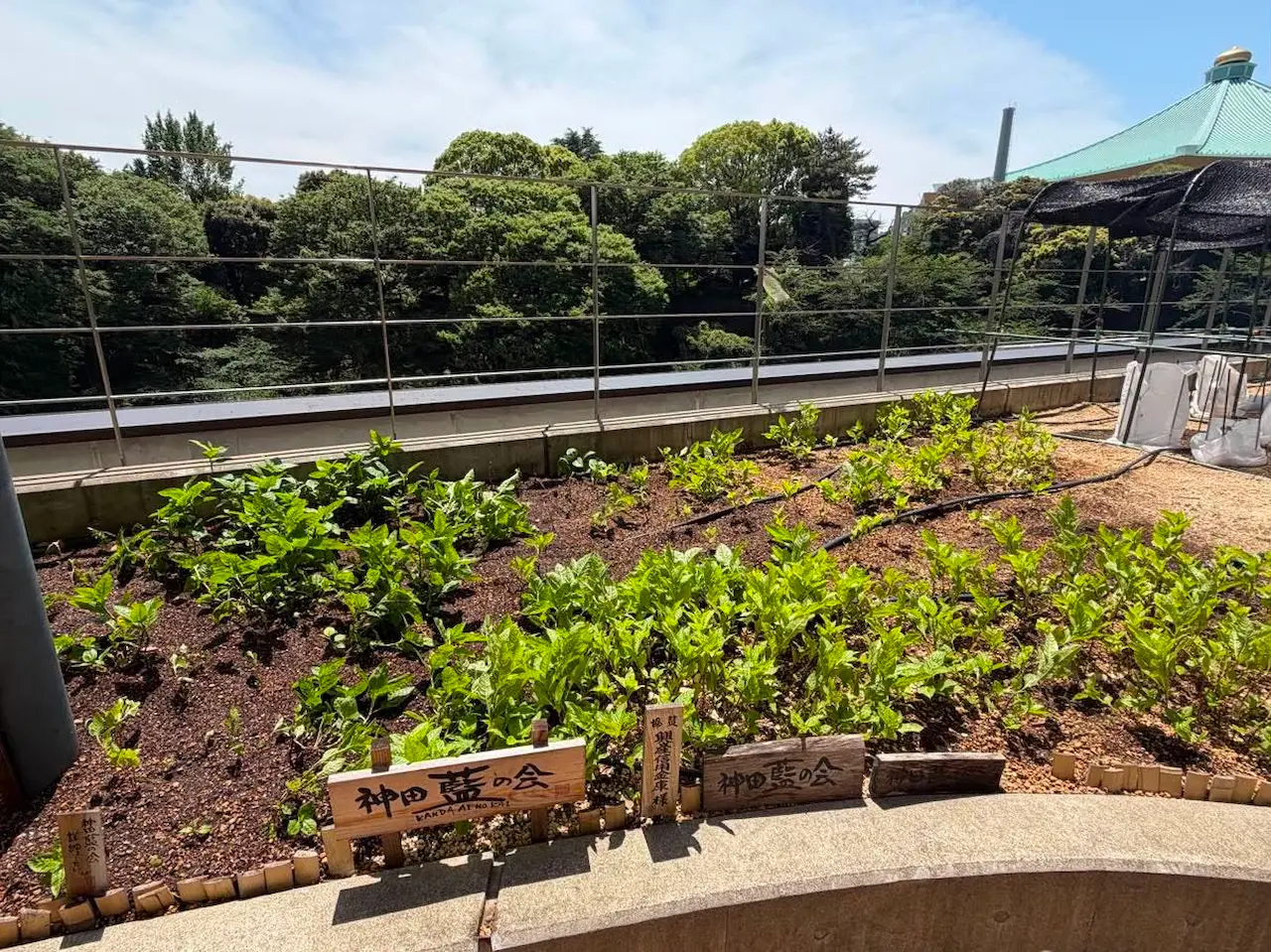 かがやきプラザ  [2026-05-19]