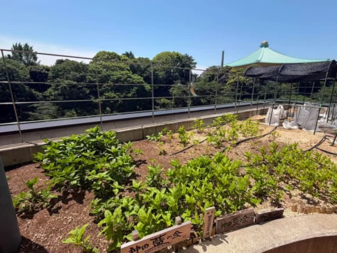 かがやきプラザ苗の植え替えサロン