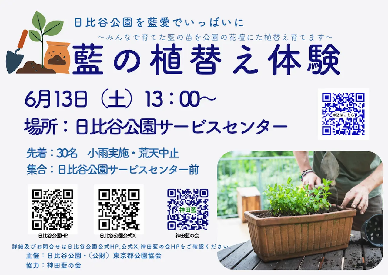 藍の植替え体験